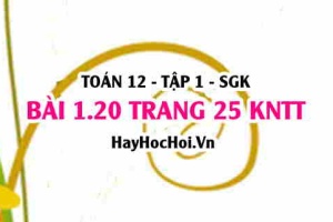 Bài 1.20 trang 25 Toán 12 tập 1 Kết nối tri thức